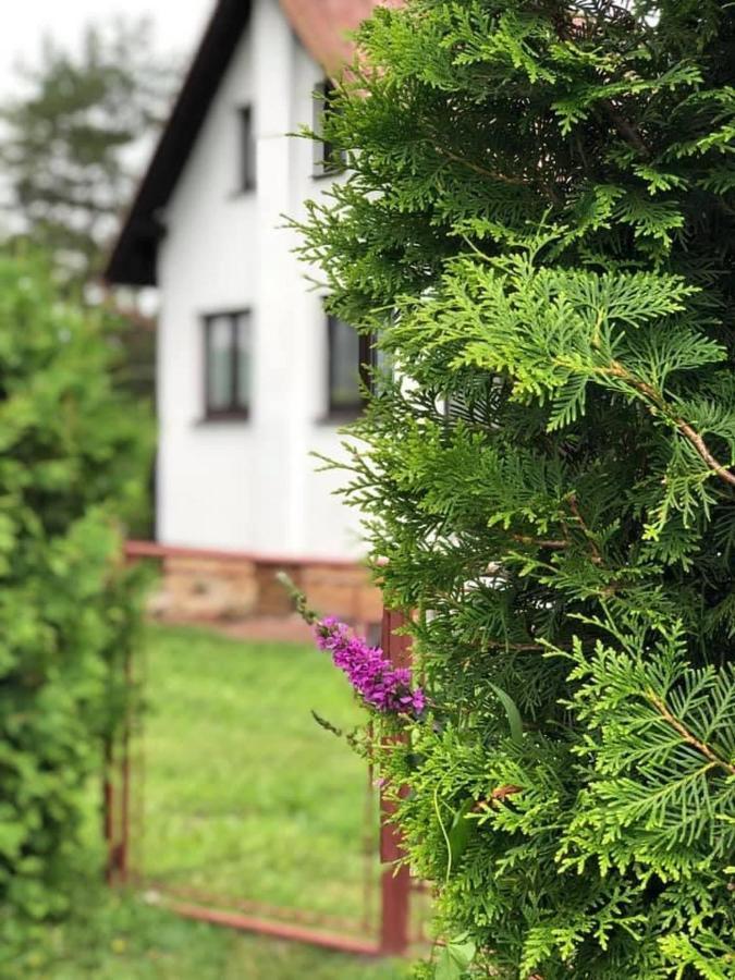 Chata U Smoliku Borovany  Eksteriør bilde