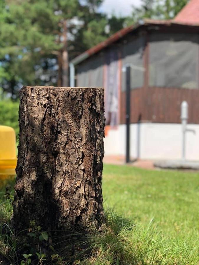 Chata U Smoliku Borovany  Eksteriør bilde