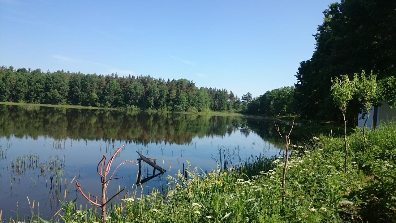 Chata U Smoliku Borovany  Eksteriør bilde